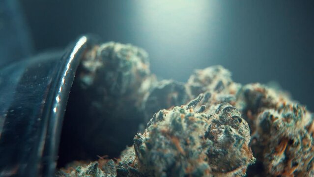 A vertical macro cinematic detailed shot of a cannabis plant, hybrid orange strains, sativa ,marijuana flower, on a rotating stand, shiny bawl, Full HD, super slow motion, 120 fps, studio lighting