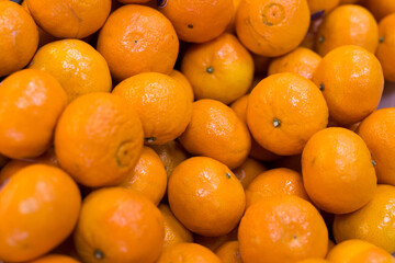 apetitic juicy farm mandarins at market counter