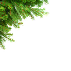 Obraz premium Christmas background with branches without transparent background