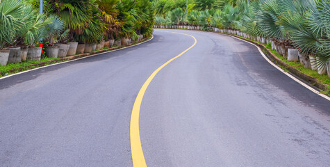 Traffic yellow line on surface of curved road with many palm trees on the edge of the road in the hill