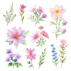 Collection of Flowers, Watercolor style for assets, Generative AI