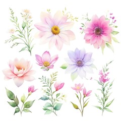 Collection of Flowers, Watercolor style for assets, Generative AI