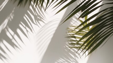 clean and clear white wall with shadow of tropical plam botany tree leaf pattern natural design template mockup for advertising backdrop,ai generate