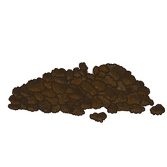 beans isolated on white background