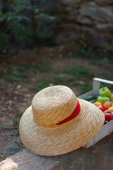 Crate with fresh homegrown fruit and vegetable and straw hat in the garden. Selective focus.