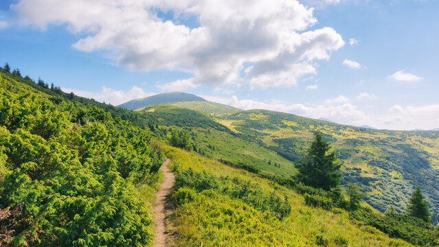 trail through the hills and meadows. alpine scenery of ukrainian carpathians. popular travel destination to the petros mountain in summer