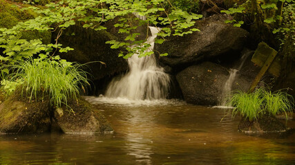 A small waterfall to a quiet area of a river in the forest