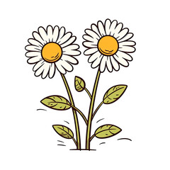 Fototapeta premium PNG chamomile in cartoon style, isolated transparent background, generative ai
