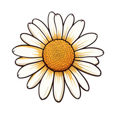  PNG chamomile in cartoon style, isolated transparent background, generative ai