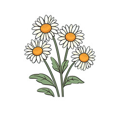 Fototapeta premium PNG chamomile in cartoon style, isolated transparent background, generative ai