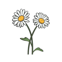  PNG chamomile in cartoon style, isolated transparent background, generative ai