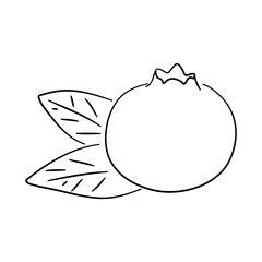 Blueberry doodle icon. Hand drawn black sketch. Vector Illustration.