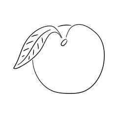 Peach doodle icon. Hand drawn black sketch. Vector Illustration.