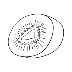 Icon of Kiwi. Hand drawn sketch. Retro vintage design. Vector illustration.