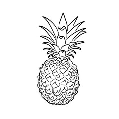 Pineapple doodle icon. Hand drawn black sketch. Vector Illustration.