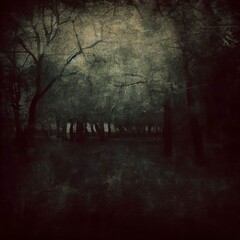 Obraz premium Dark park, grunge image