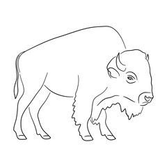 Bison illustration in doodle style. Vector isolated on a white background.