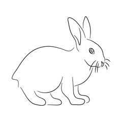 Sketch drawing of a Rabbit isolated on a white background. Vector illustration.