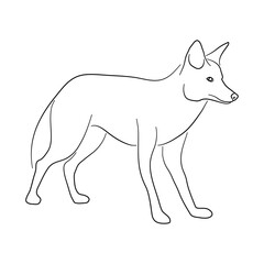 Jackal illustration in doodle style. Vector isolated on a white background.