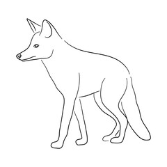 Sketch drawing of a Jackal isolated on a white background. Vector illustration.