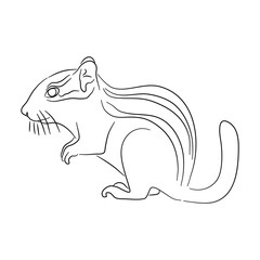 Sketch drawing of a Chipmunk isolated on a white background. Vector illustration.