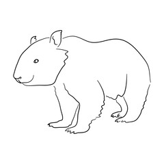 Wombat illustration in doodle style. Vector isolated on a white background.
