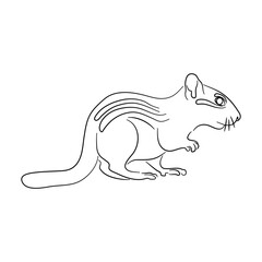 Chipmunk illustration in doodle style. Vector isolated on a white background.