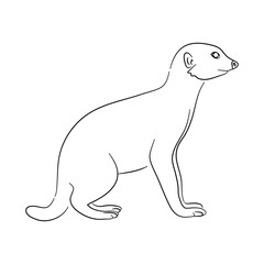 Meerkat illustration in doodle style. Vector isolated on a white background.