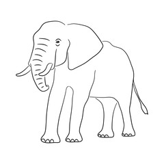 Elephant illustration in doodle style. Vector isolated on a white background.