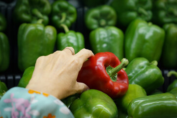 Fresh capsium or bell pepper