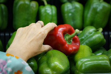 Fresh capsium or bell pepper