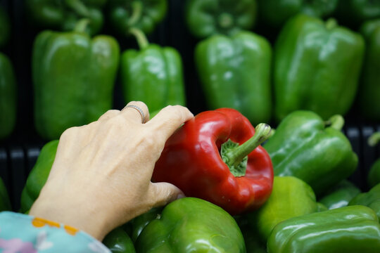 Fresh capsium or bell pepper