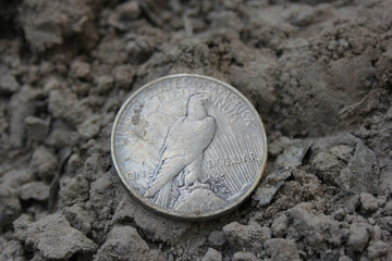 1922 Silver Peace Dollar On Ground in Dirt. Back View