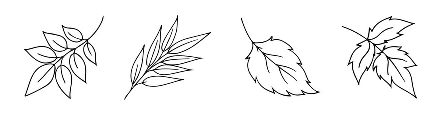 set of hand draw doodle leaves, flowers
