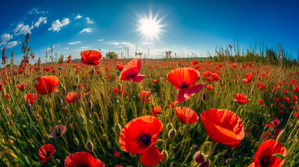 Obraz premium Field of poppies in the countryside, generative AI