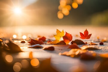 brown and orange maple leaves falling on a sunny street during fall season
