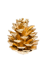 one golden pine cone PNG file