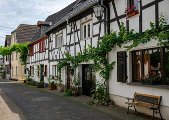 Obraz na płótnie Canvas the grape vines grow along the half timbered houses in the town of erpel in germany