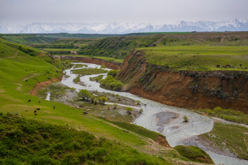 Aksu river canyon in South Kazakhstan in a spring.