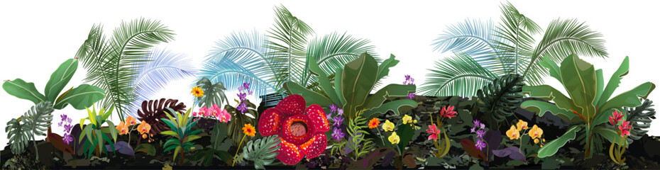 Panoramic view with tropical plants: banana tree, monstera, bamboo, dracaena, rafflesia, orchids. Flowers and coconut palm leaves. Bright design in watercolor style. Realistic botanical illustration