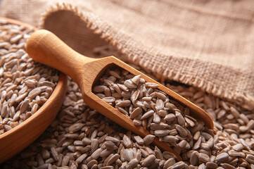 Sunflower seeds in a wooden spoon. A bag and a wooden bowl are next to it