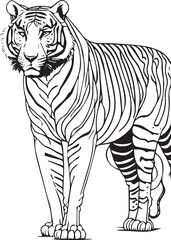 Tiger cartoon outline illustration. Coloring book for children. Black and white vector drawing. 