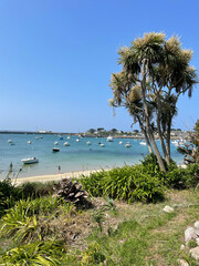 Paysage de l'Ile de Batz en Bretagne en France