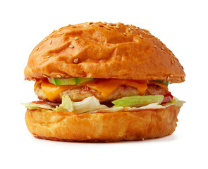 Tasty fresh burger isolated on white background