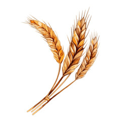 Isolated PNG cut of a wheat ears, Generative ai