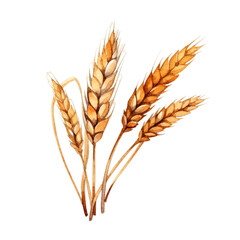 Isolated PNG cut of a wheat ears, Generative ai
