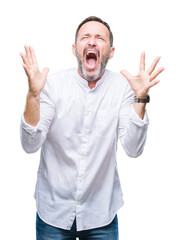 Middle age hoary senior man over isolated background crazy and mad shouting and yelling with aggressive expression and arms raised. Frustration concept.