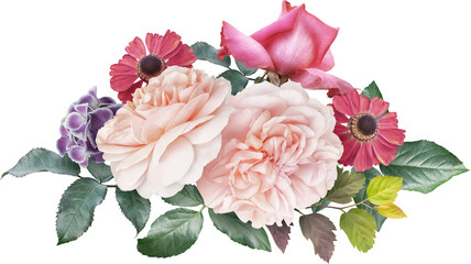 Roses isolated on a transparent background. Png file.  Floral arrangement, bouquet of garden flowers. Can be used for invitations, greeting, wedding card.