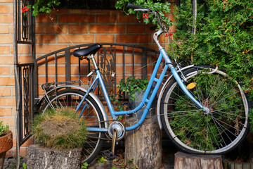 Fototapeta na wymiar Old bicycle and greenery as a background