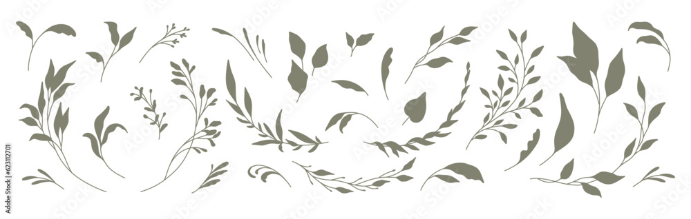 Wall mural set of silhouettes of branches and leaves. hand drawn vector botanical elements